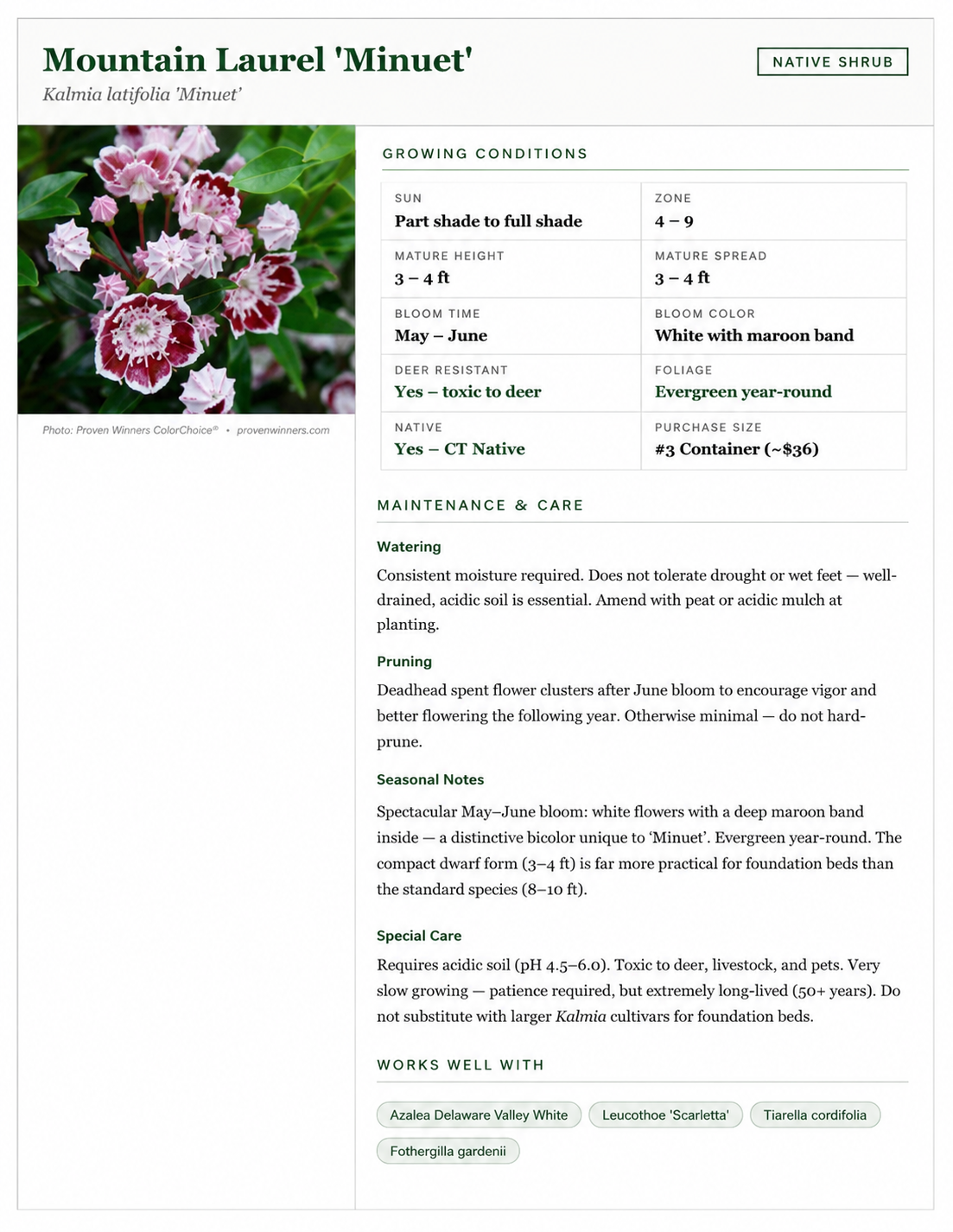Detailed plant care card produced with Freedom Brain